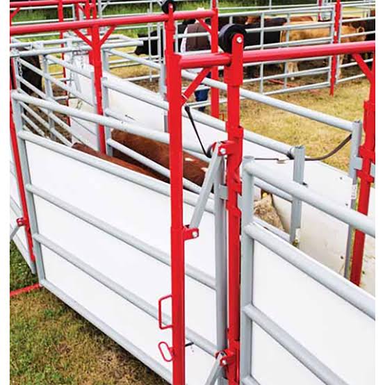 2W cattle handling equipment