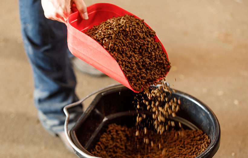 Horse Feed