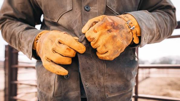 Gloves