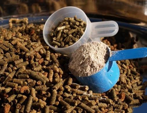 Horse Supplements
