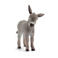 13746 Donkey foal