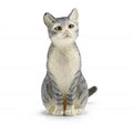 13771 Cat Sitting