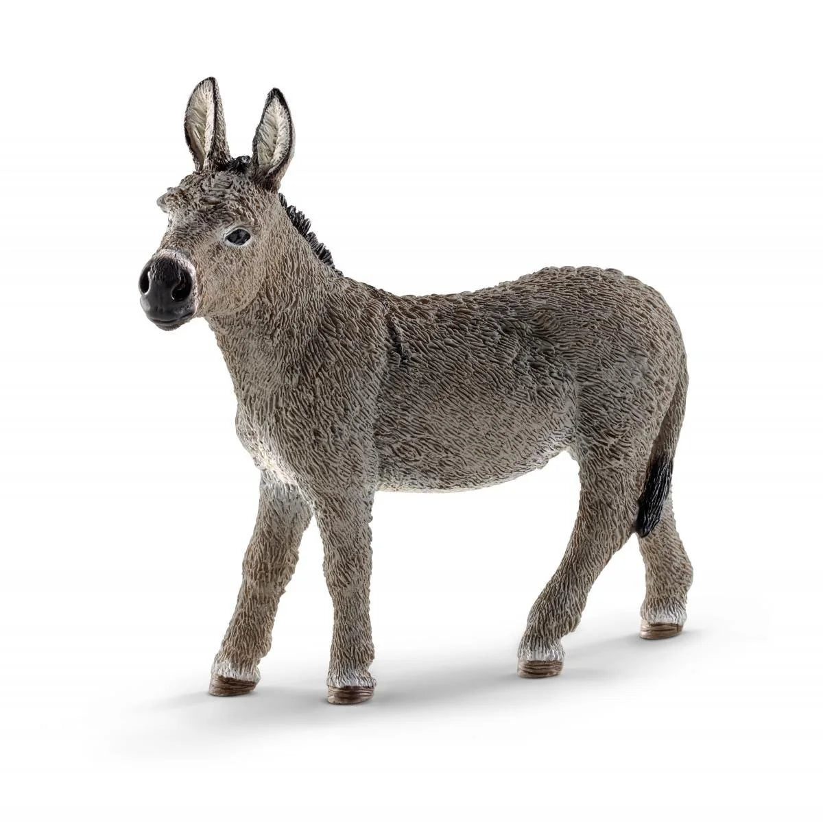13772 Donkey