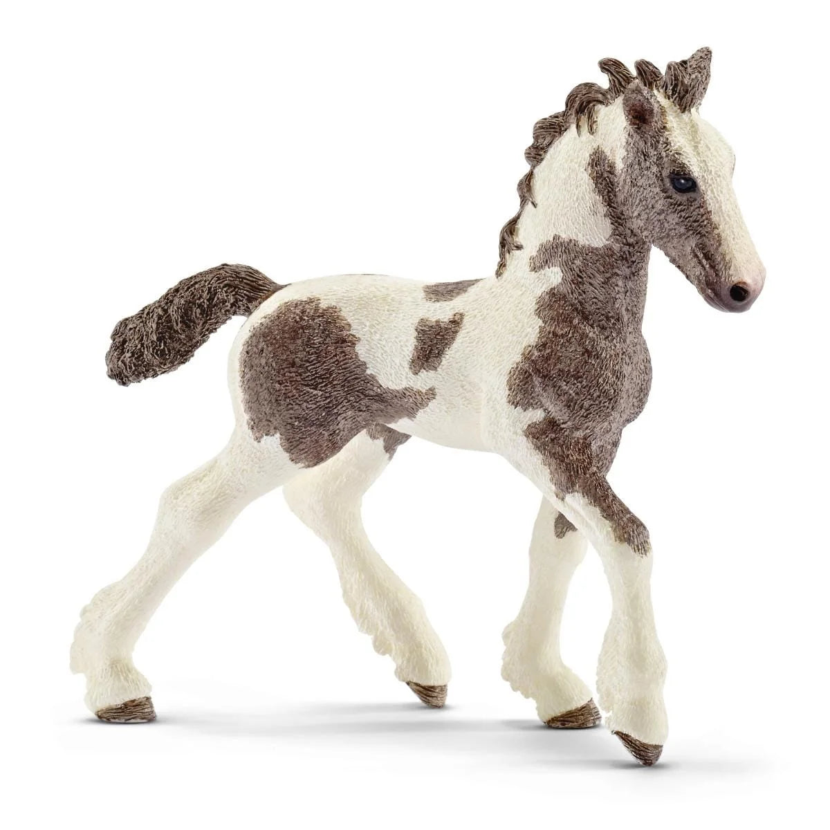 13774 Tinker Foal