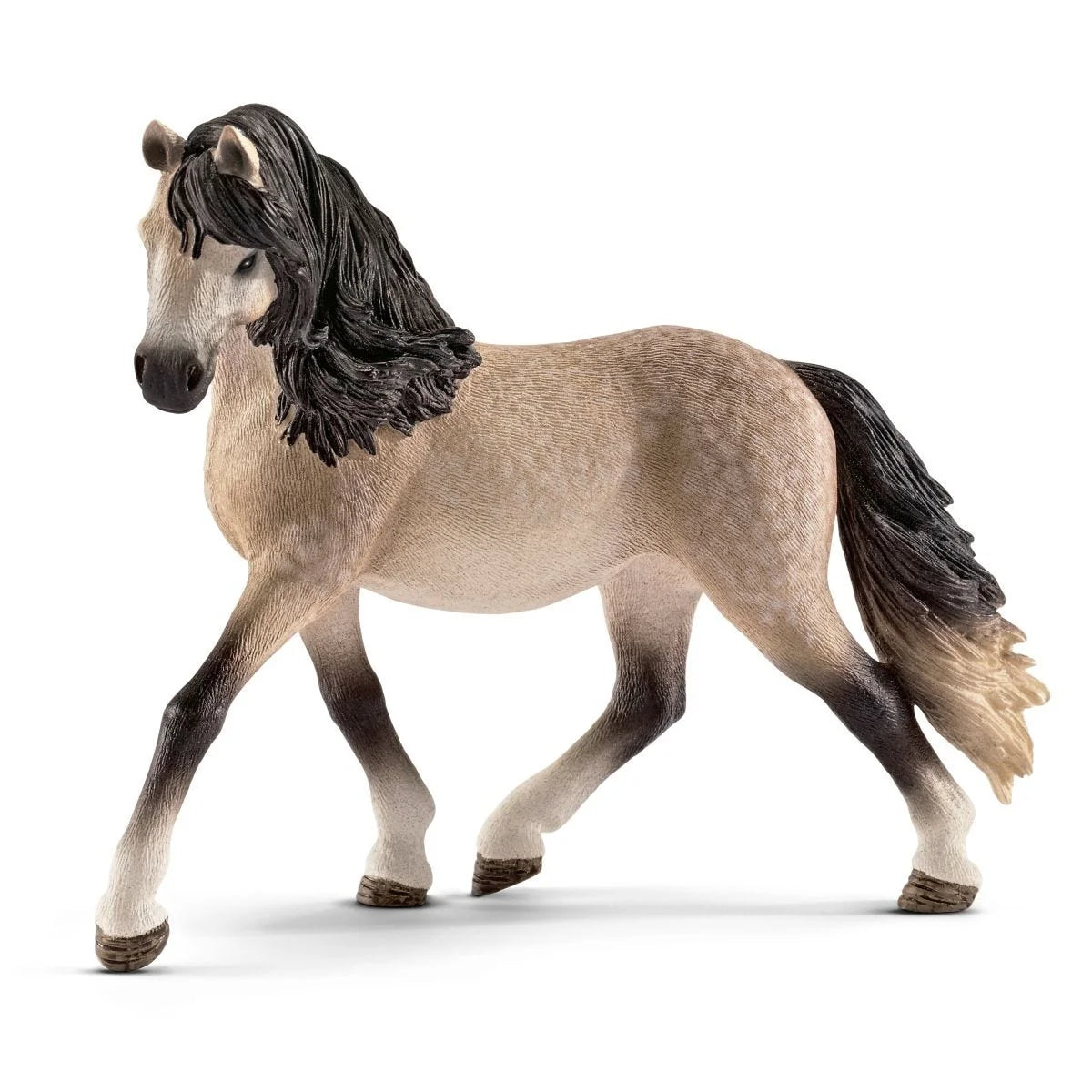 13793 Andalusian Mare