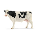 13797 Holstein Cow