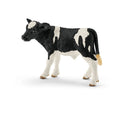 13798 Holstein Calf
