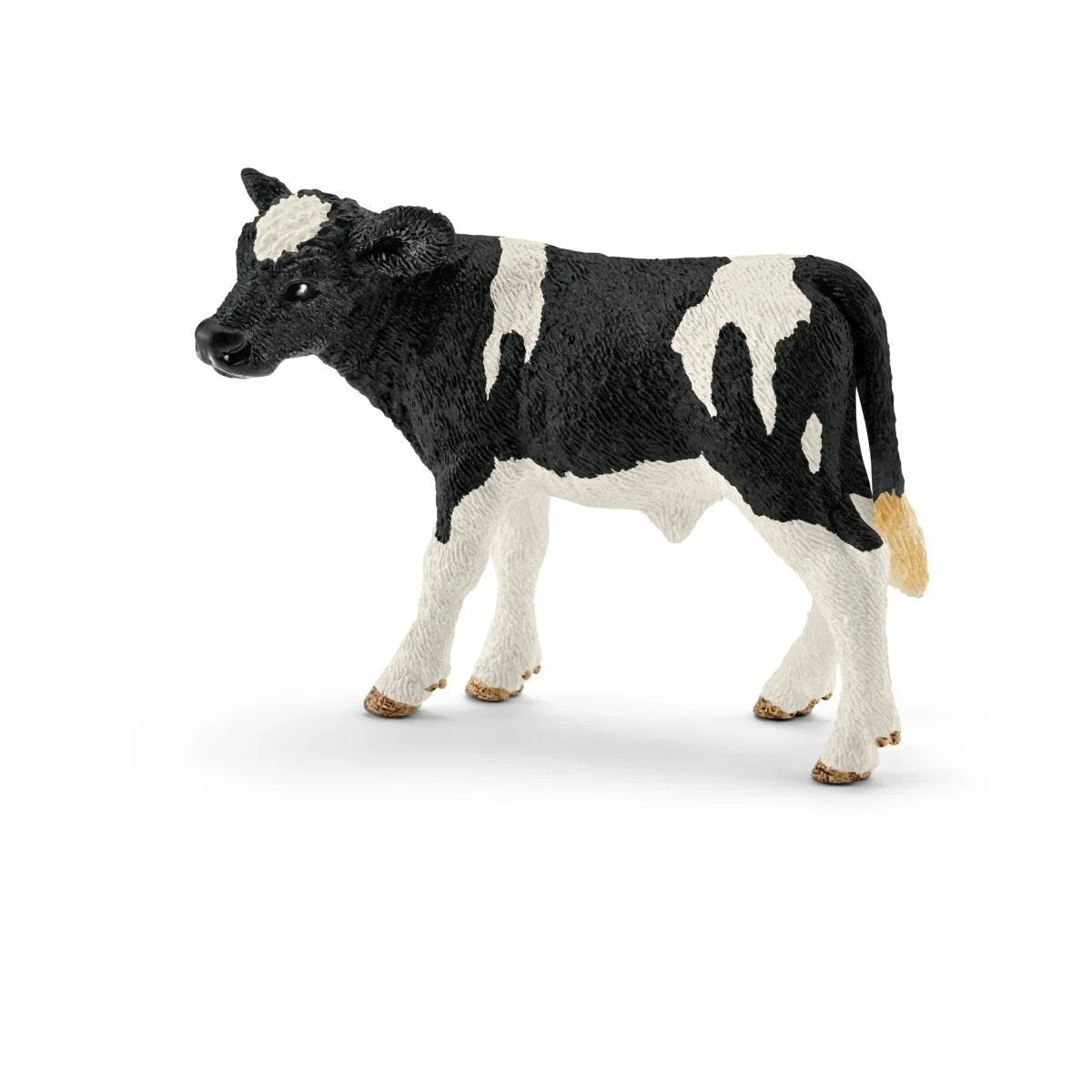 13798 Holstein Calf