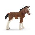 13810 Clydesdale Foal