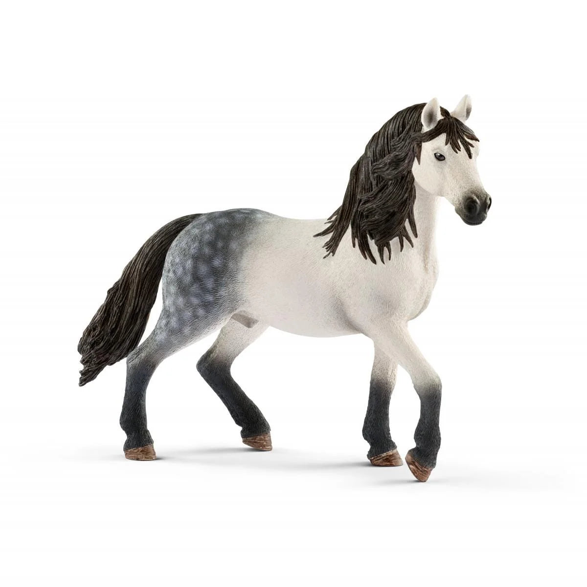 13821 Andalusian Stallion