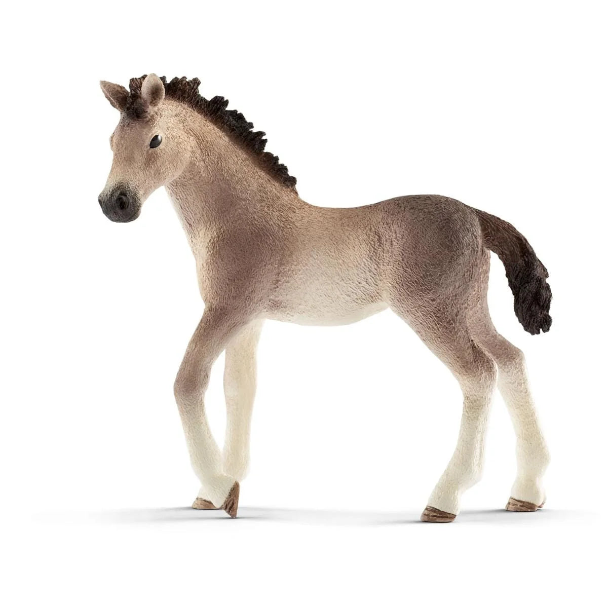 13822 Andalusian Foal