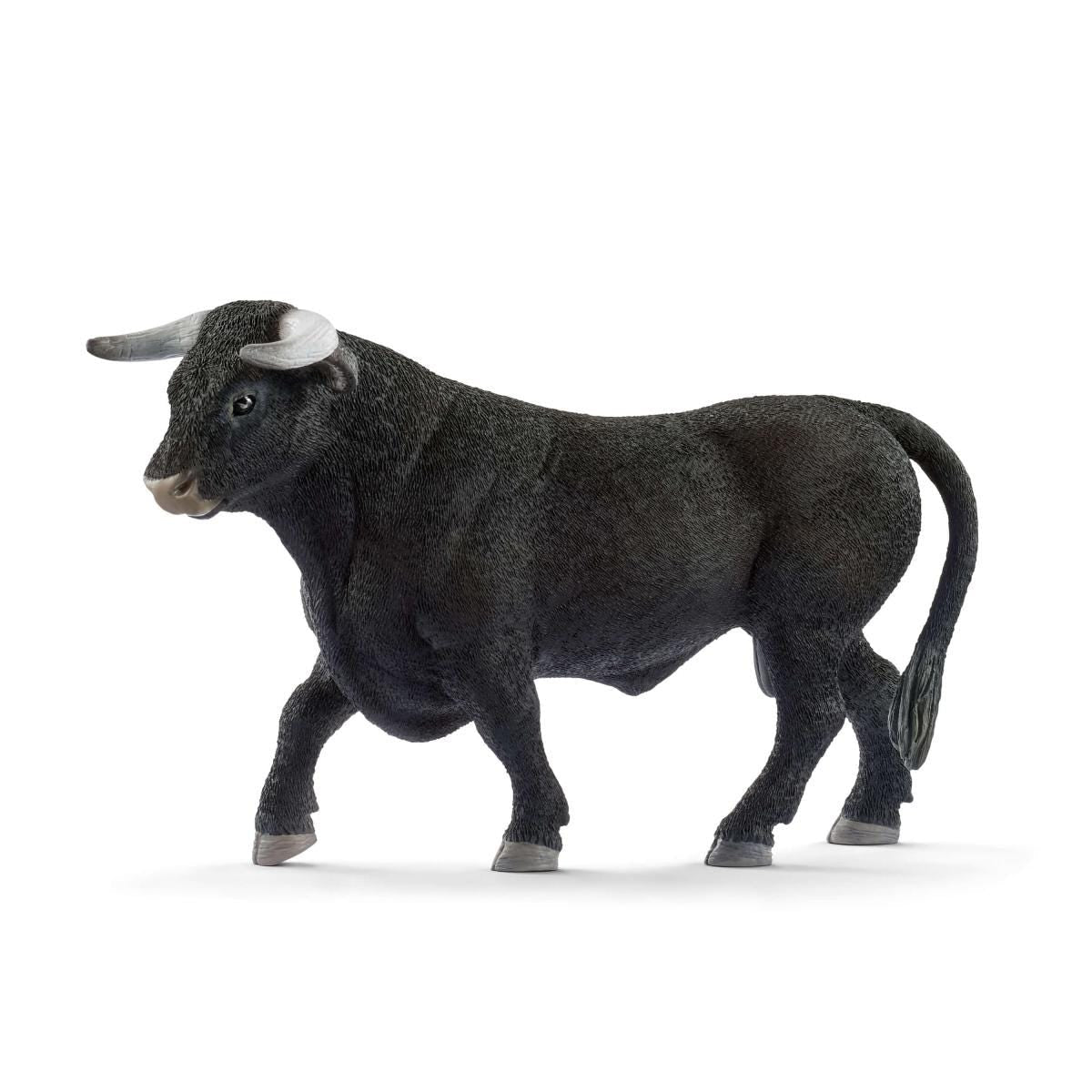 13875 Black Bull