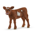 17083 Texas Longhorn Calf