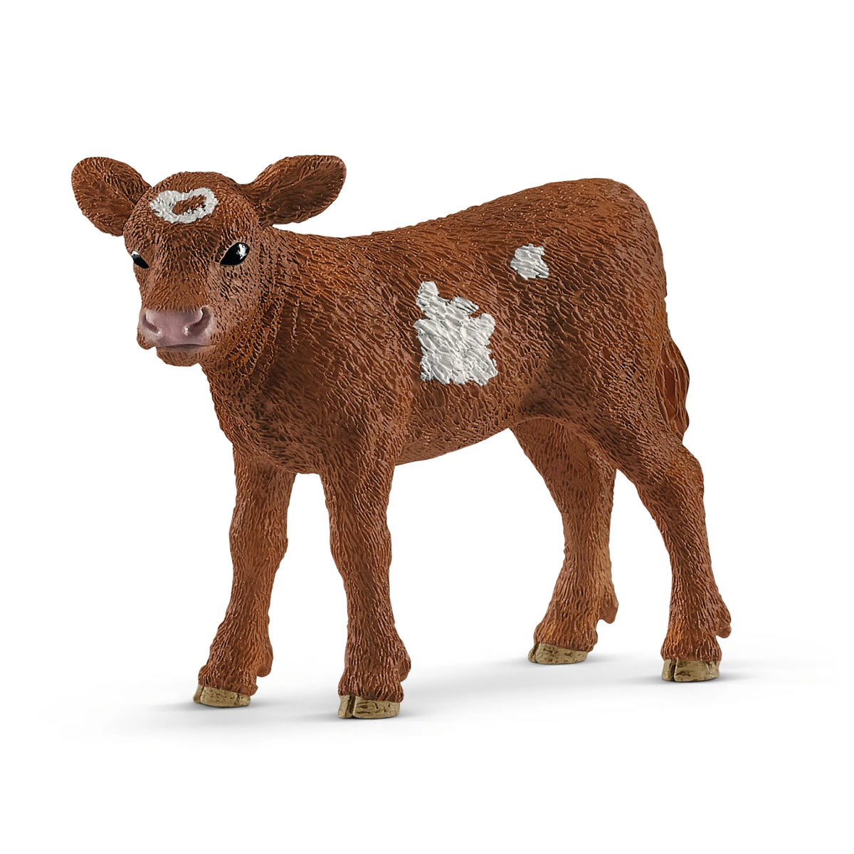 17083 Texas Longhorn Calf