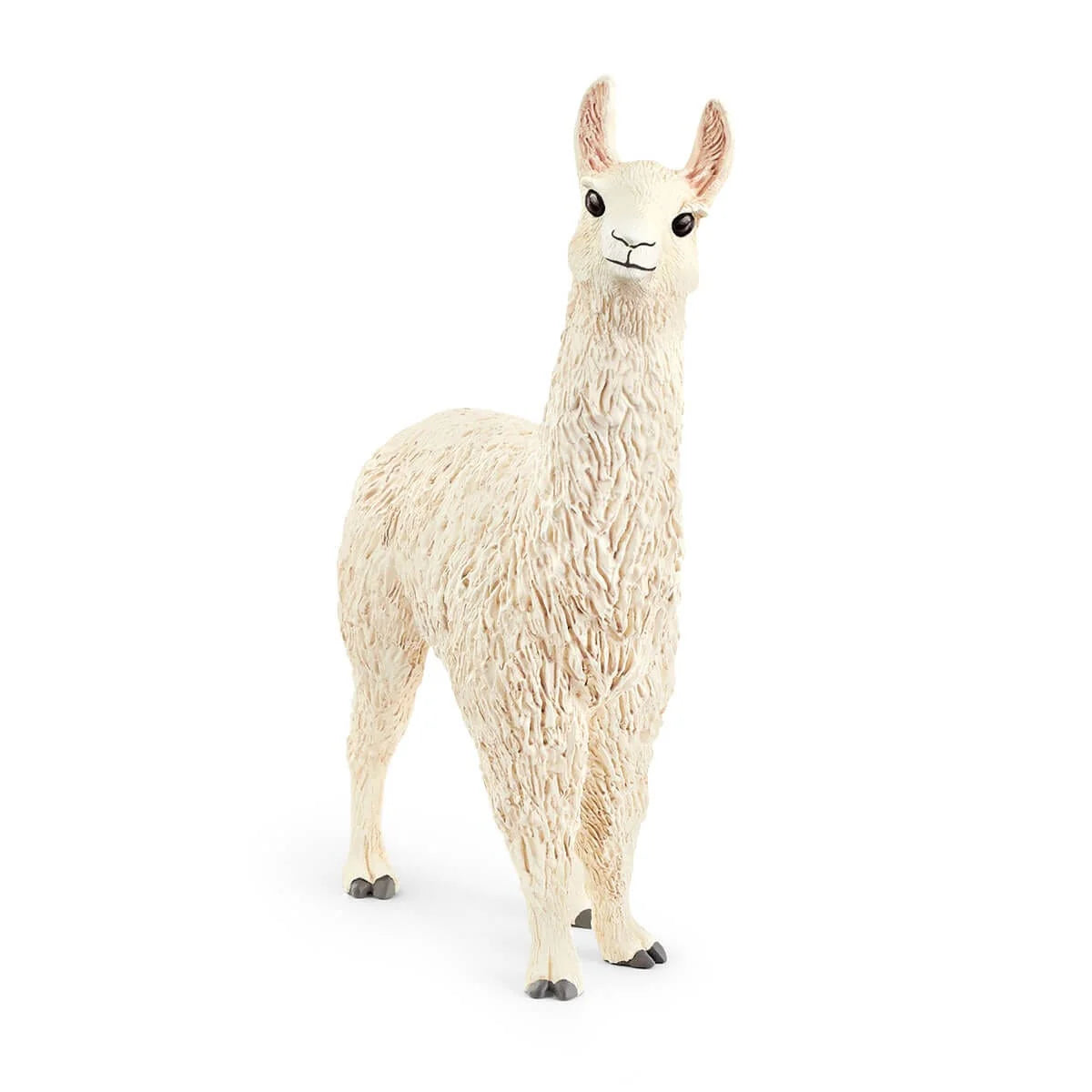 13920 Llama