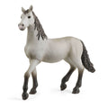 13924 Pura Raza Española Young Horse