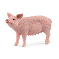 13933 Pig