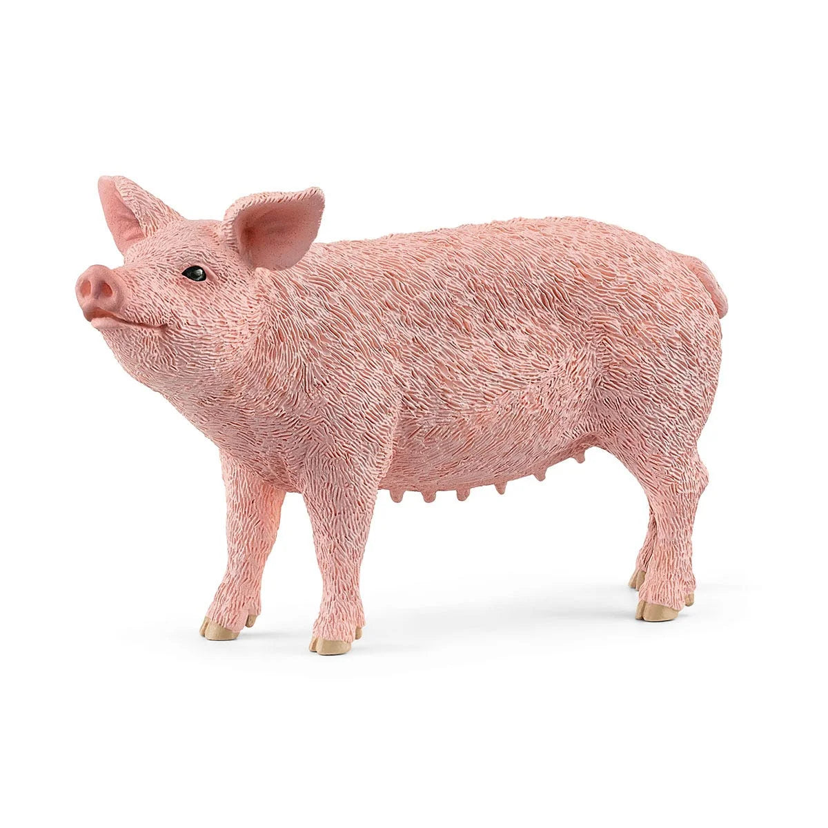 13933 Pig