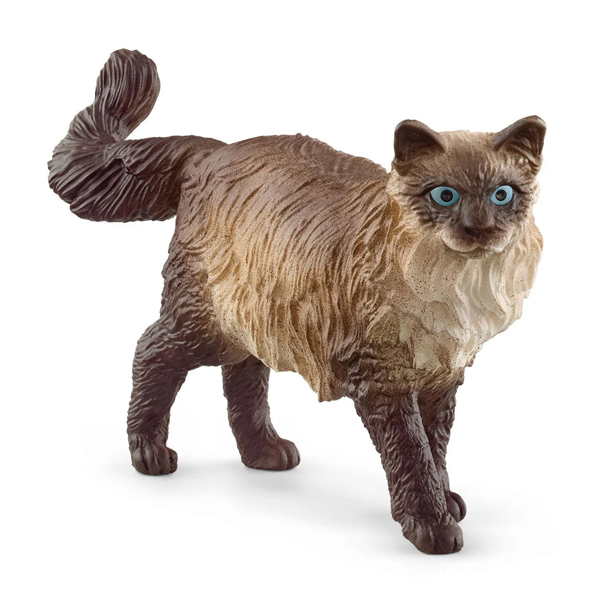 13940 Ragdoll