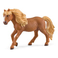 13943 Icelandic Pony Stallion