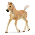13951 Haflinger Foal