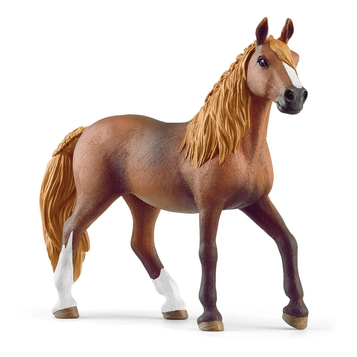 13953 Peruvian Paso Mare