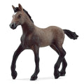13954 Peruvian Paso Foal