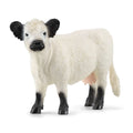 13960 Galloway Cow