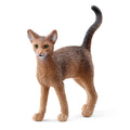 13964 Abyssinian Cat