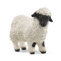 13965 Valais Black Nose Sheep