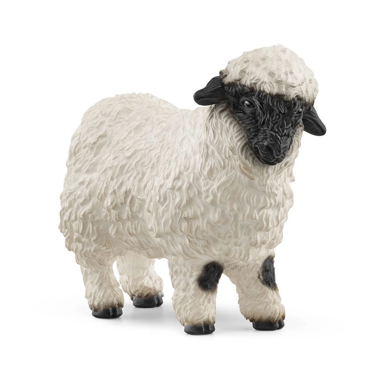 13965 Valais Black Nose Sheep