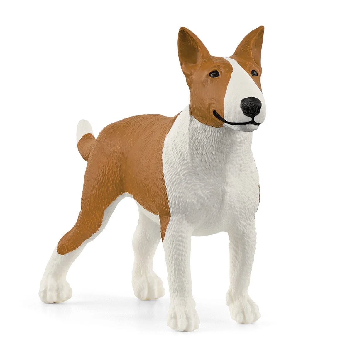 13966 Bull Terrier