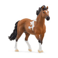 13978 Mangalarga Marchador Stallion