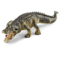 14727 Alligator