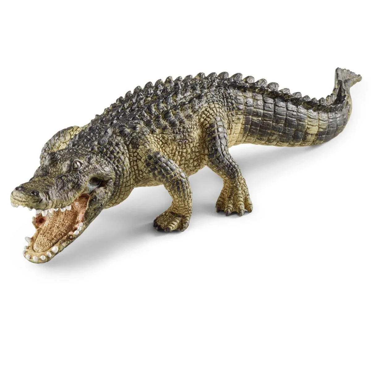 14727 Alligator