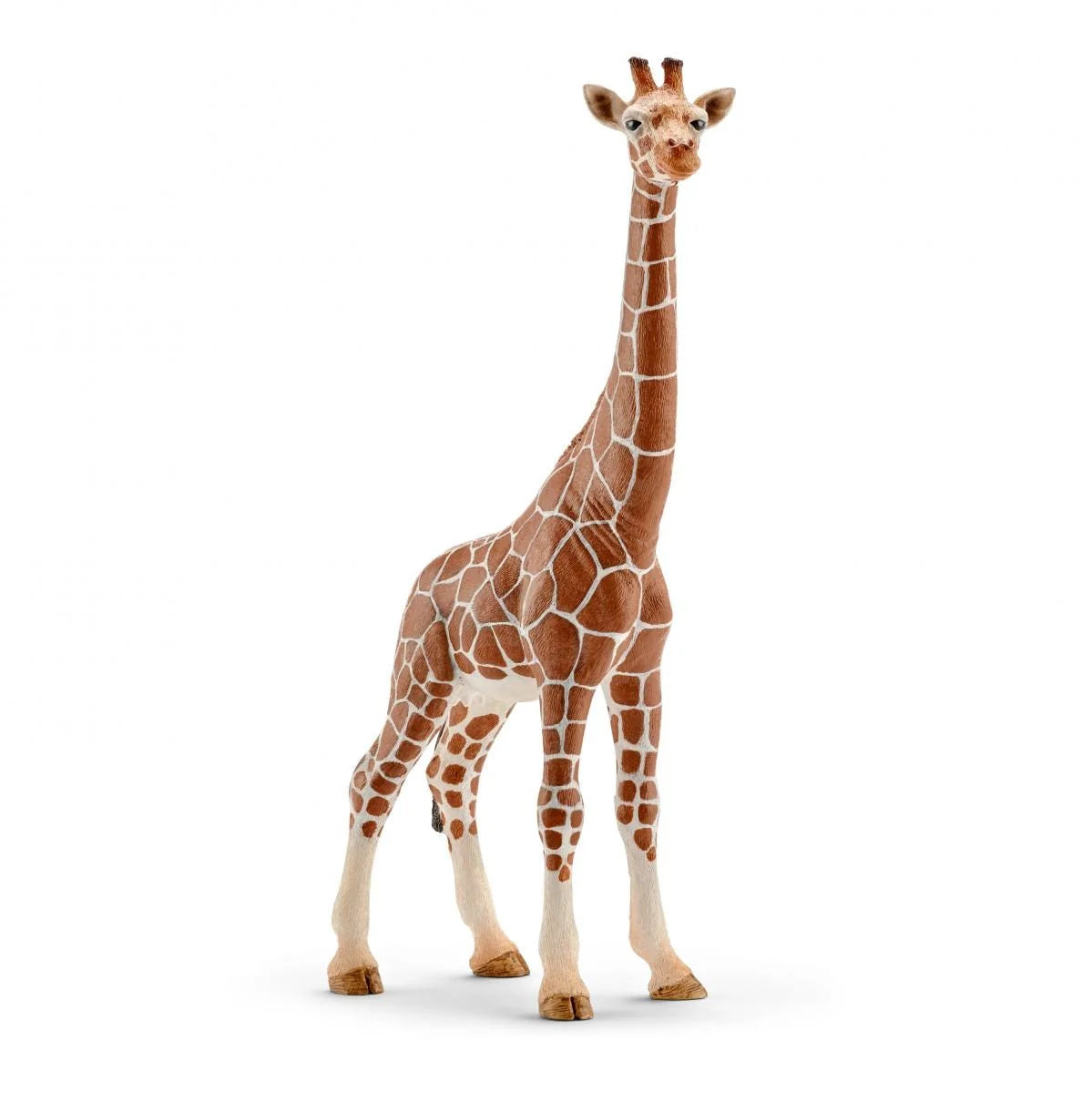 14750 Giraffe Female