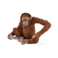 14775 Orangutan Female
