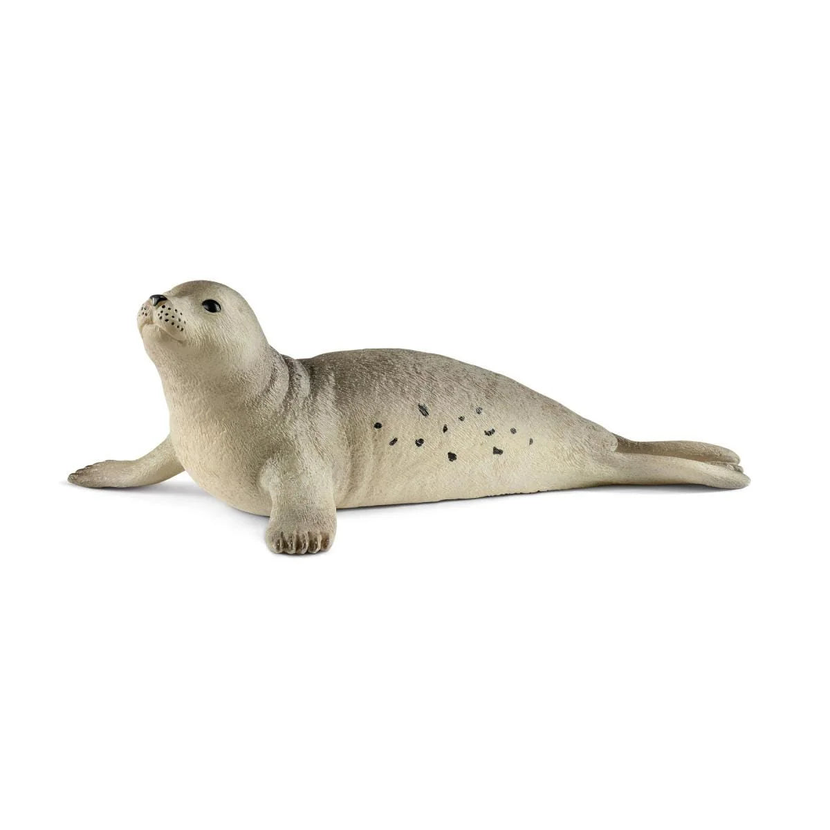 14801 Seal