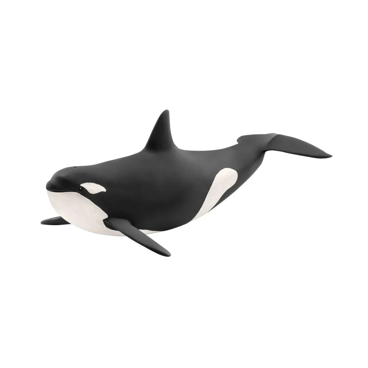 14807 Killer Whale
