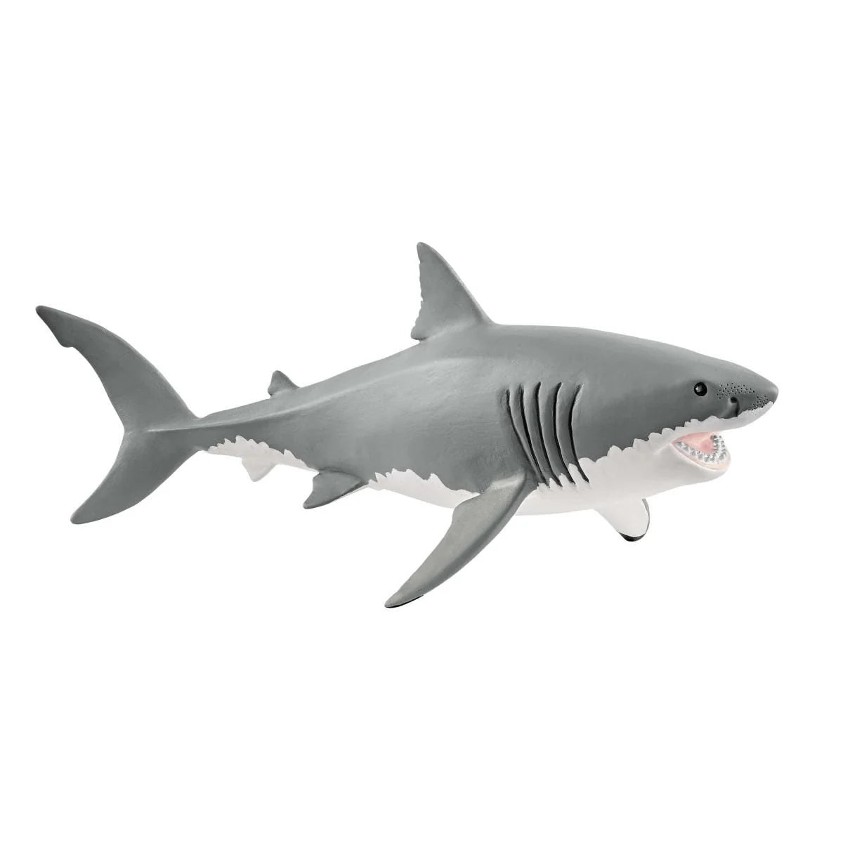 14809 Great White Shark