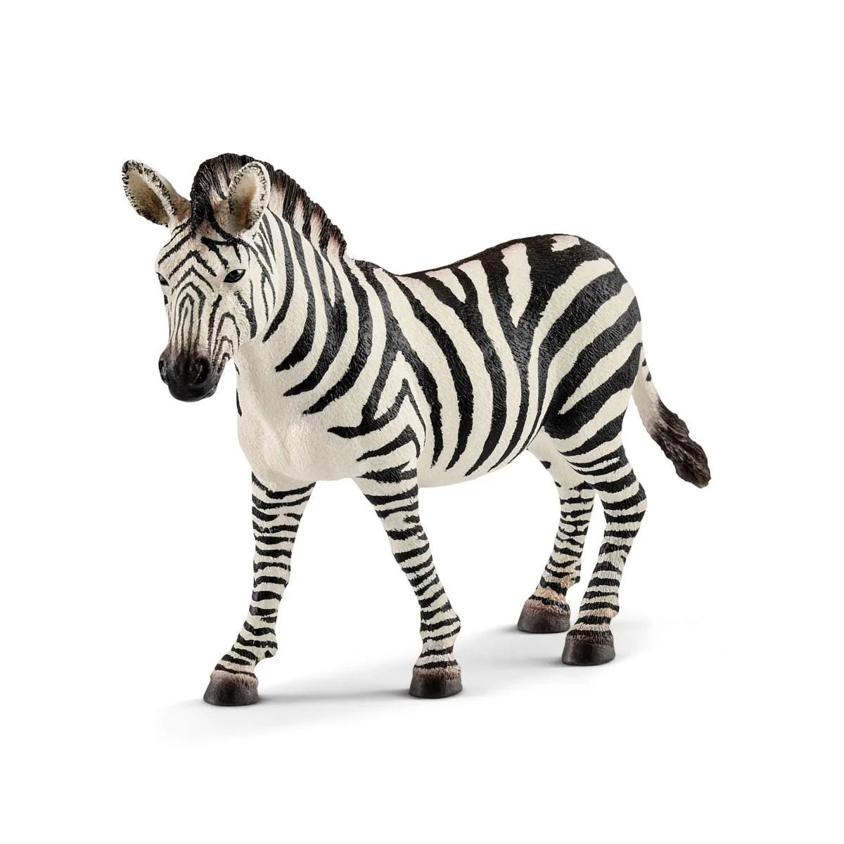 14810 Zebra Female