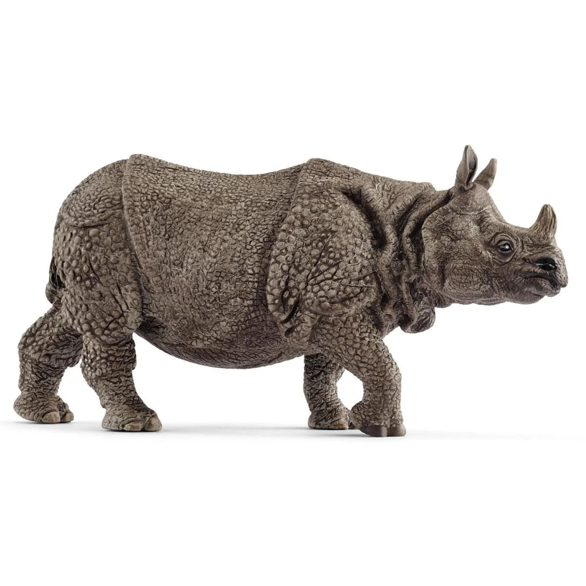 14816 Indian Rhinoceros