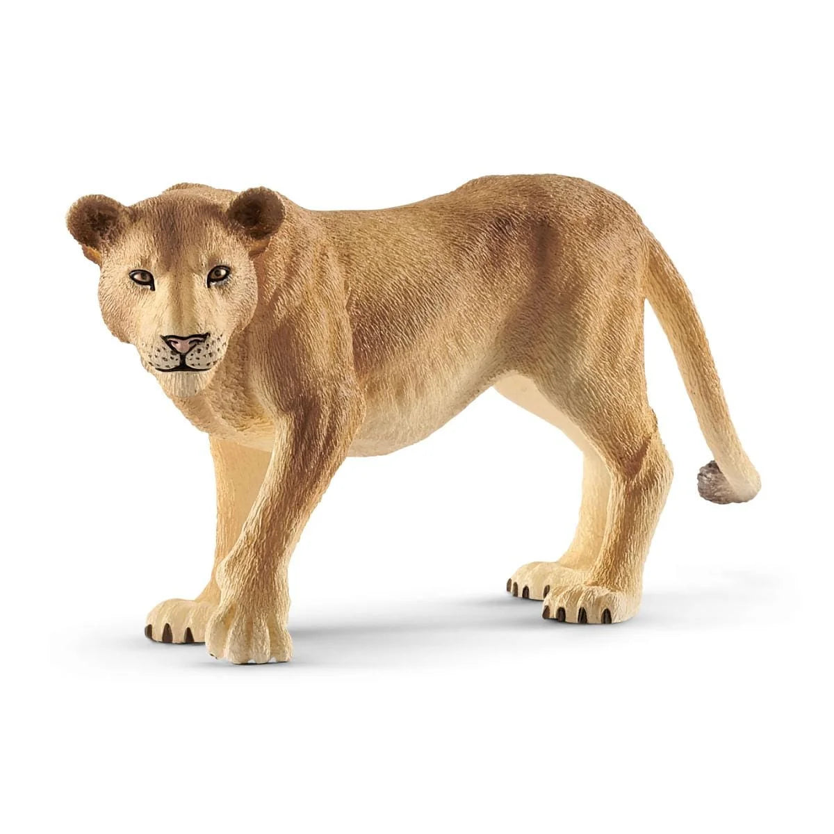 14825 Lioness