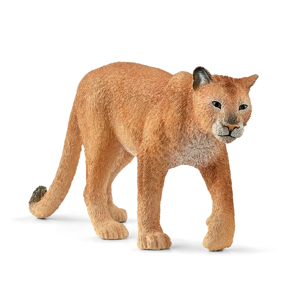 14853 Cougar
