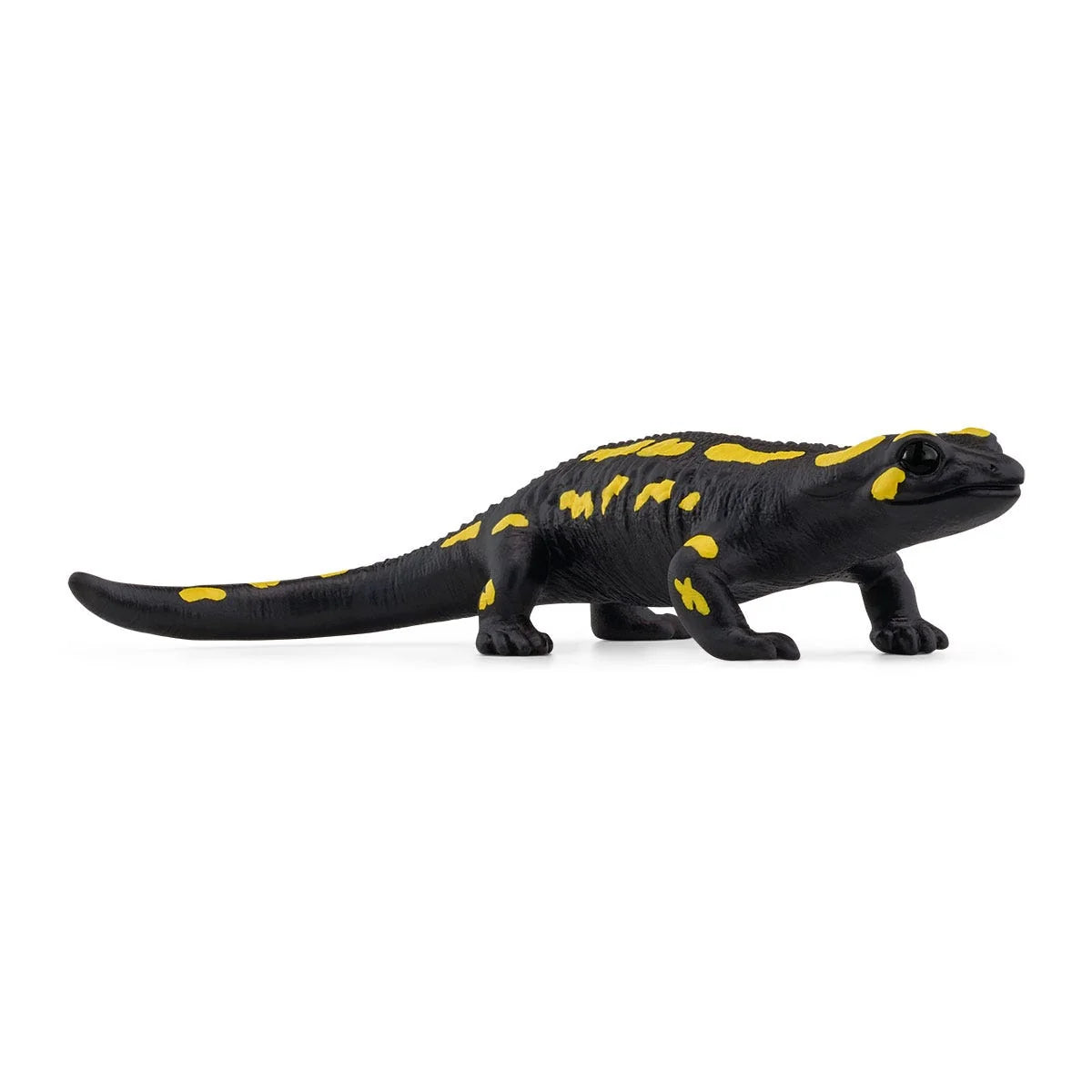 14870 Fire Salamander