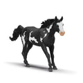 14900 Paint Horse Gelding