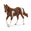 14901 Paint Mare