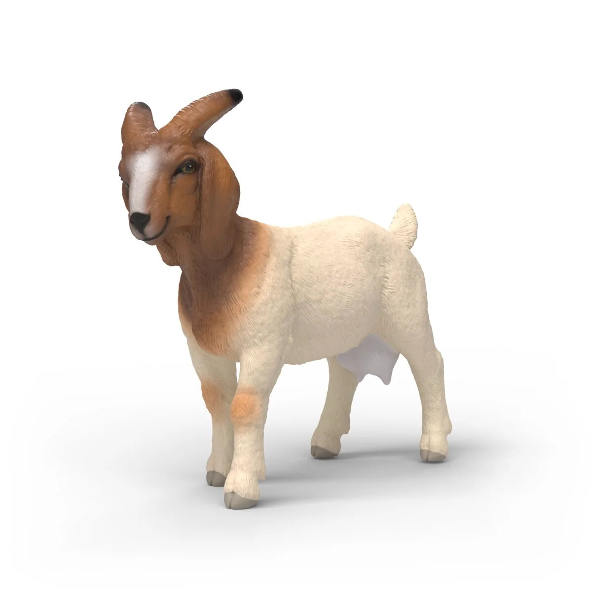 14929 Boer Goat