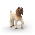 14930 Boer Goat Kid