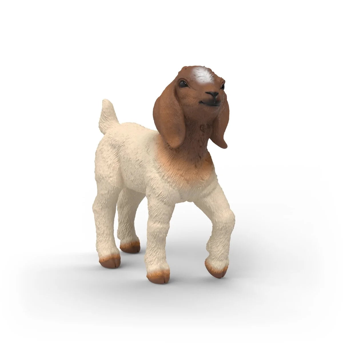 14930 Boer Goat Kid